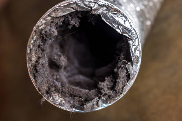 Best Air Duct Inspection  in Milford, UT